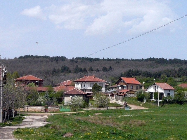 S Verinsko
