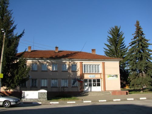 с. Столник