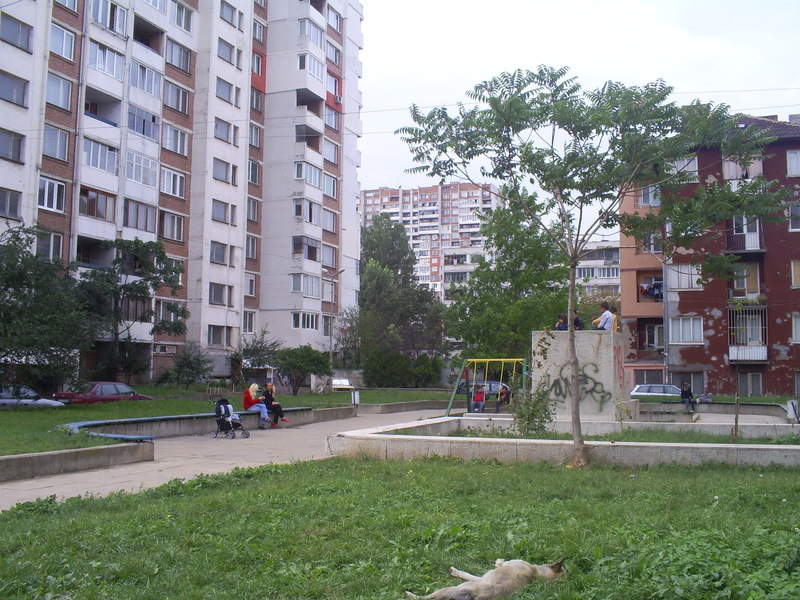 Zona B 5 Quarter