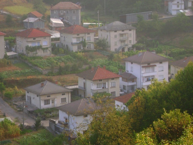 с. Падина