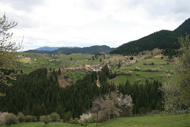 с.Гела