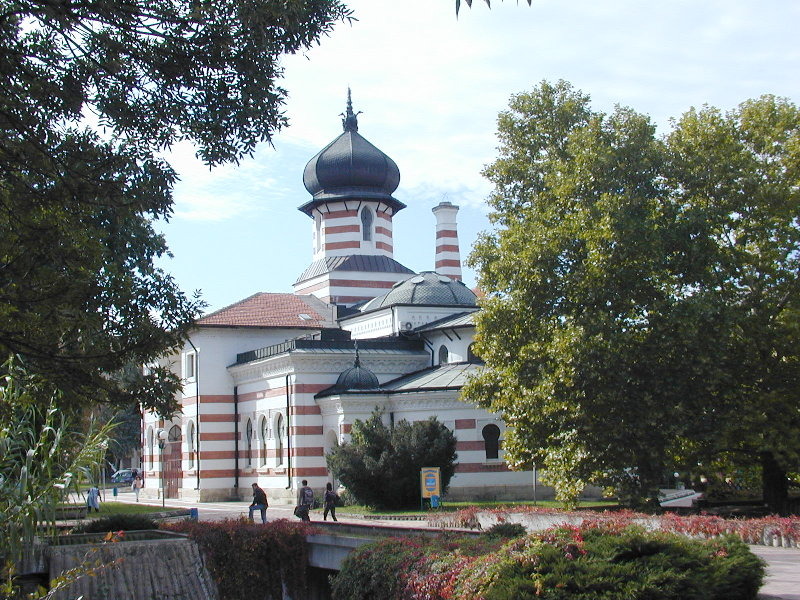Pleven