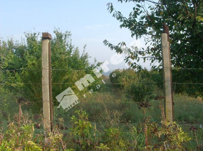 Продава ИМОТ/ ЗЕМЕДЕЛСКА ЗЕМЯ, област Благоевград, гр. Петрич, 7127&nbsp;кв.м,
				
				
						&euro; 30&nbsp;770